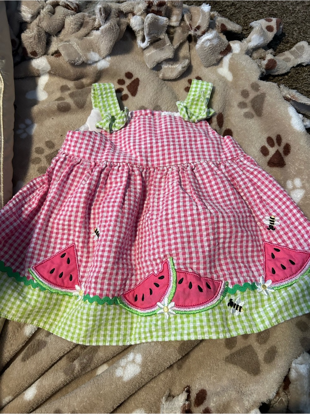 Good Lad Pink and Green Watermelon Gingham Dress